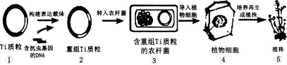 题目图片