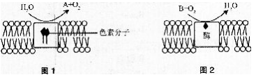 题目图片