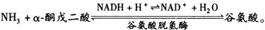 题目图片