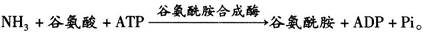 题目图片