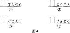 题目图片