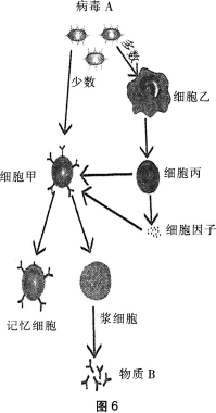 题目图片