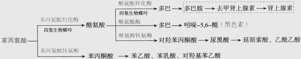 题目图片
