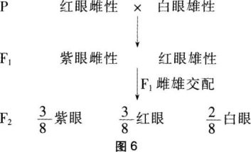 题目图片
