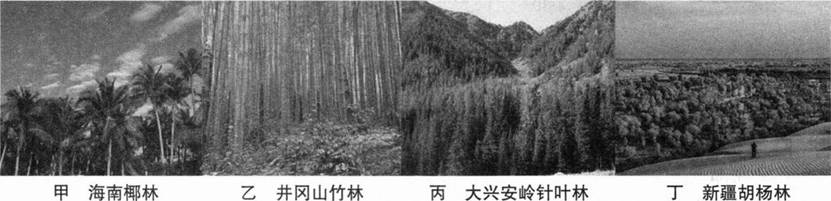 题目图片
