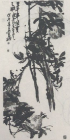 题目图片