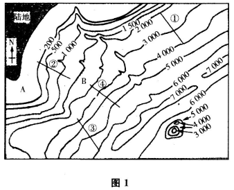题目图片