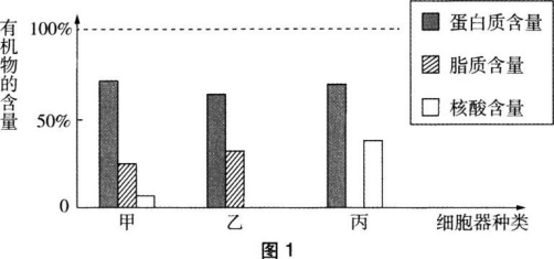 题目图片