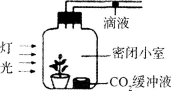 题目图片