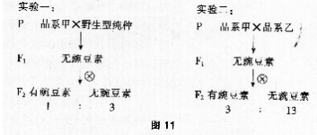题目图片