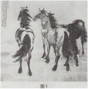 题目图片