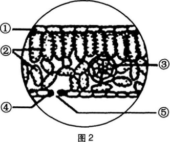 题目图片