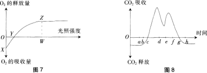 题目图片
