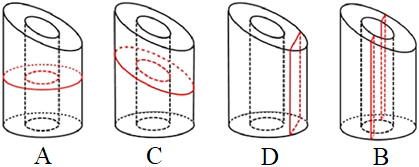 题目图片