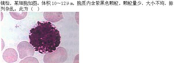 题目图片