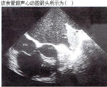 题目图片