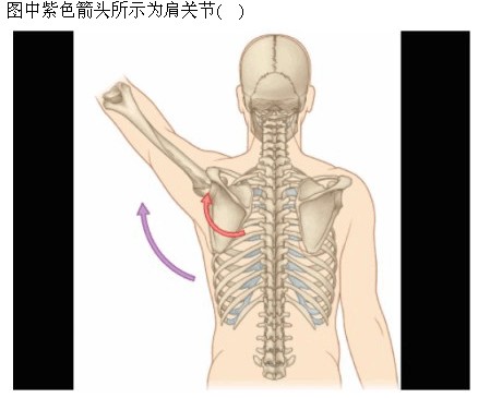 题目图片