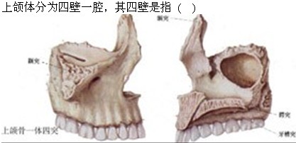 题目图片
