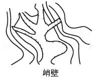 题目图片