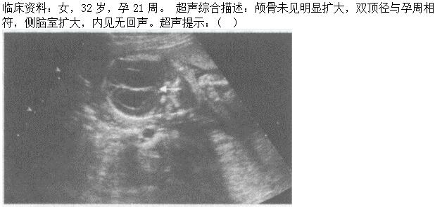 题目图片