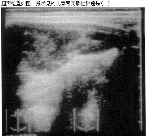 题目图片