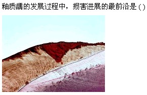 题目图片