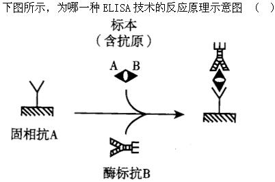 题目图片