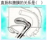 题目图片
