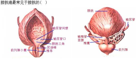题目图片