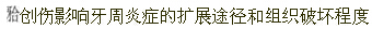 题目图片
