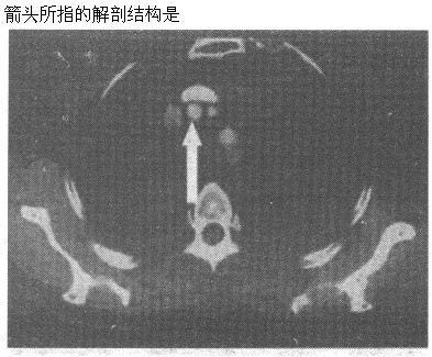 题目图片