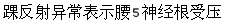 题目图片