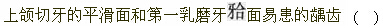 题目图片