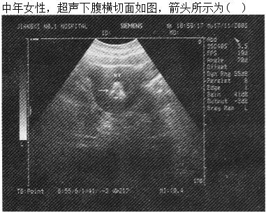 题目图片